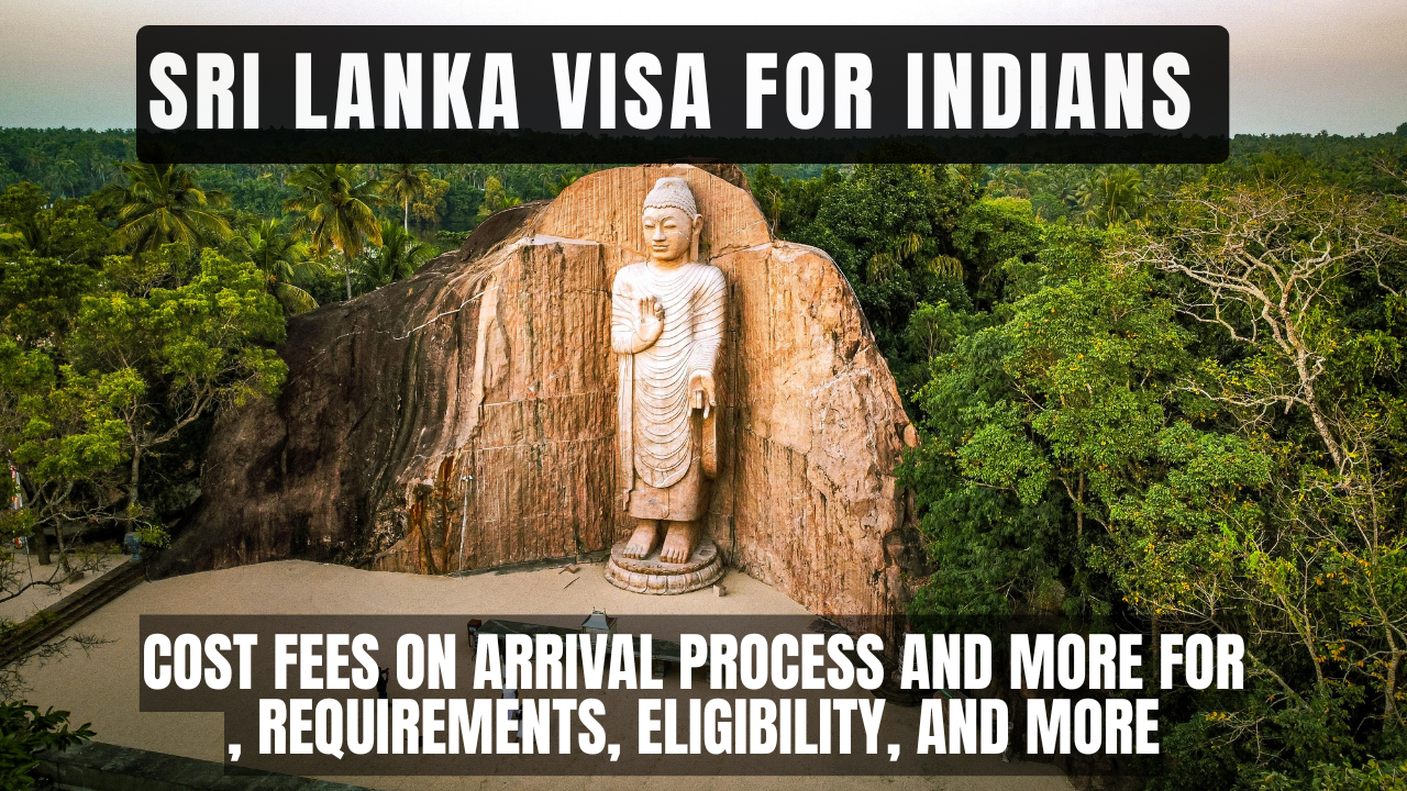 Cost Fees On Arrival Process and More